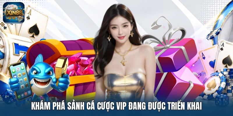 Khám phá sảnh cá cược VIP đang được triển khai