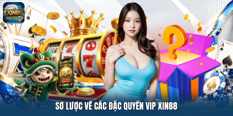 Sơ lược về các đặc quyền VIP Xin88