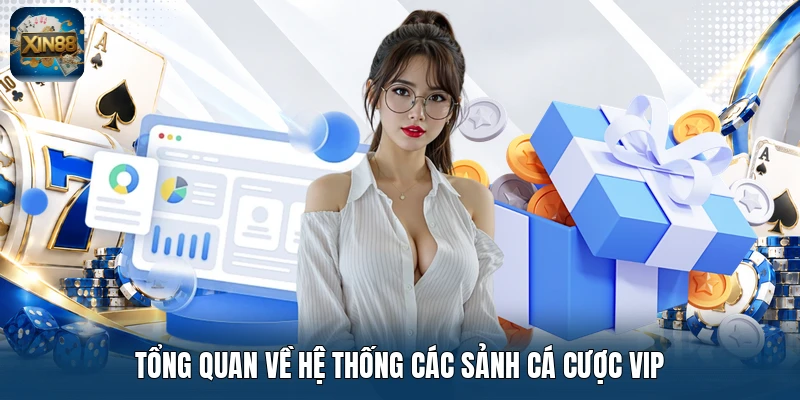 Tổng quan về hệ thống các sảnh cá cược VIP